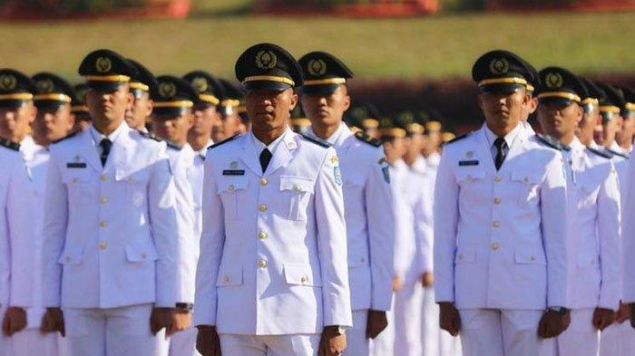 Beasiswa di IPDN: Perbandingan dengan Beasiswa LPDP dan Lainnya