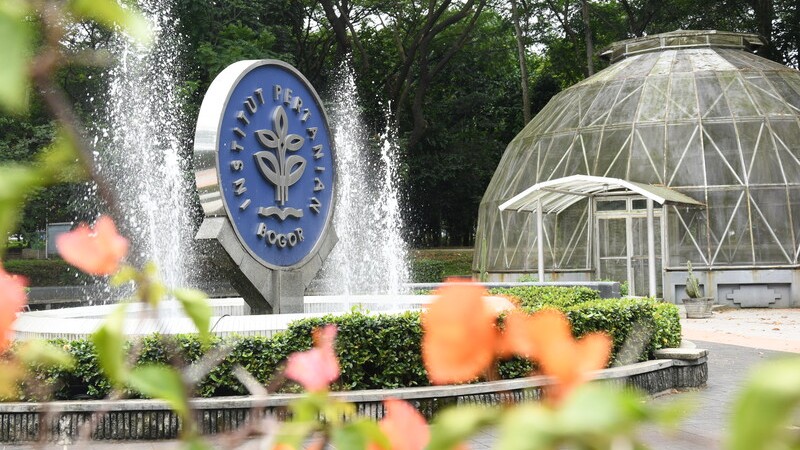 Perbedaan Antara Hasil Seleksi IPB Jalur Reguler dan Mandiri