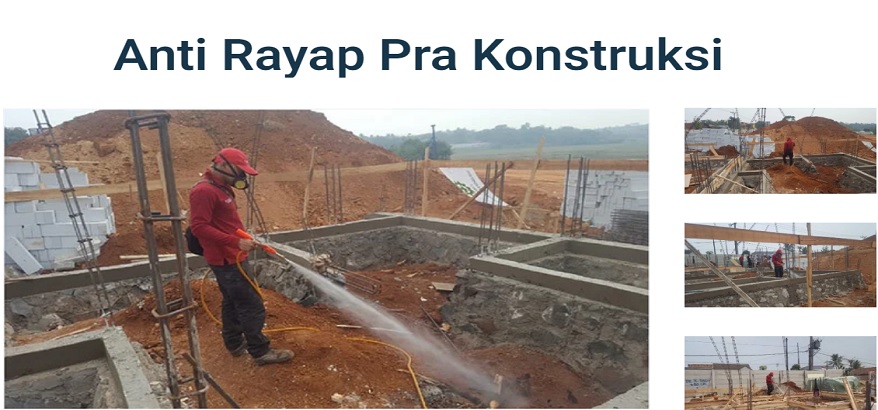 jasa anti rayap