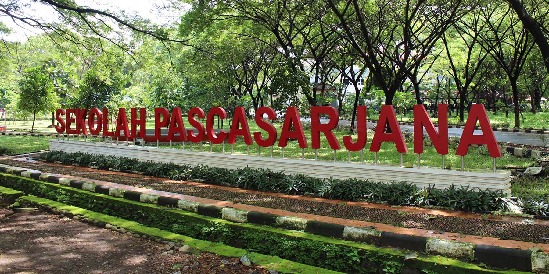 Tips Memilih Program Studi Pascasarjana Sesuai Minat dan Karier