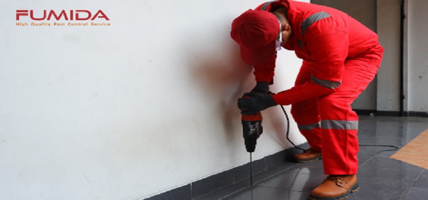 Pentingnya Menggunakan Jasa Anti Rayap Terbaik Fumida
